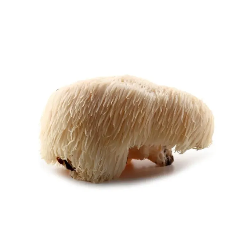 Naturaplaza Hericium (Pruikzwam) Granulaat 4-6 mm Biologisch Best