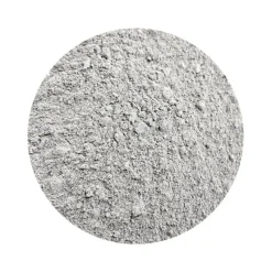 Naturaplaza Judasoor Paddenstoel Poeder Auricularia judae Biologisch Best