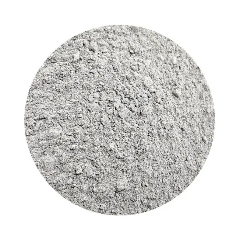 Naturaplaza Judasoor Paddenstoel Poeder Auricularia judae Biologisch Best