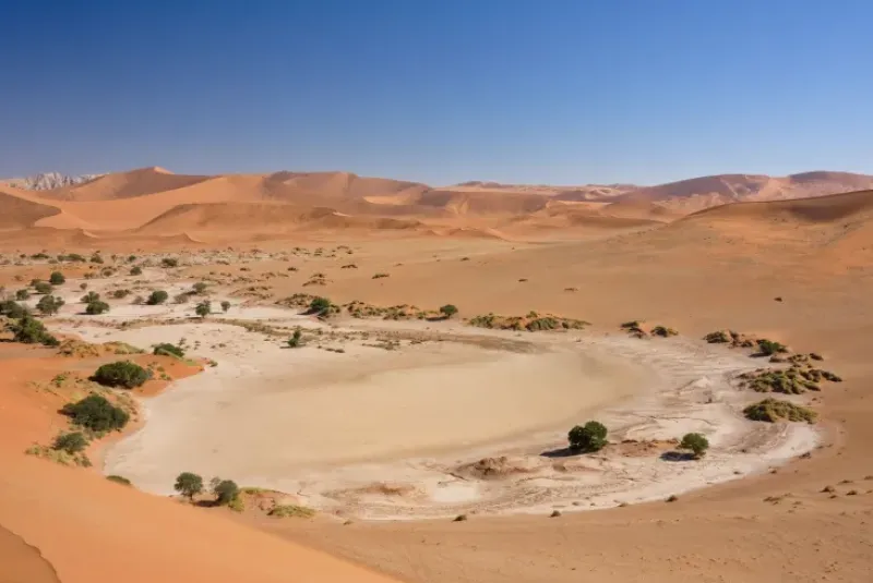 Naturaplaza Kalahari Woestijnzout Fijn 0.1-0.7 mm Online