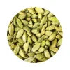 Naturaplaza Kardemom in schil Heel Biologisch Hot