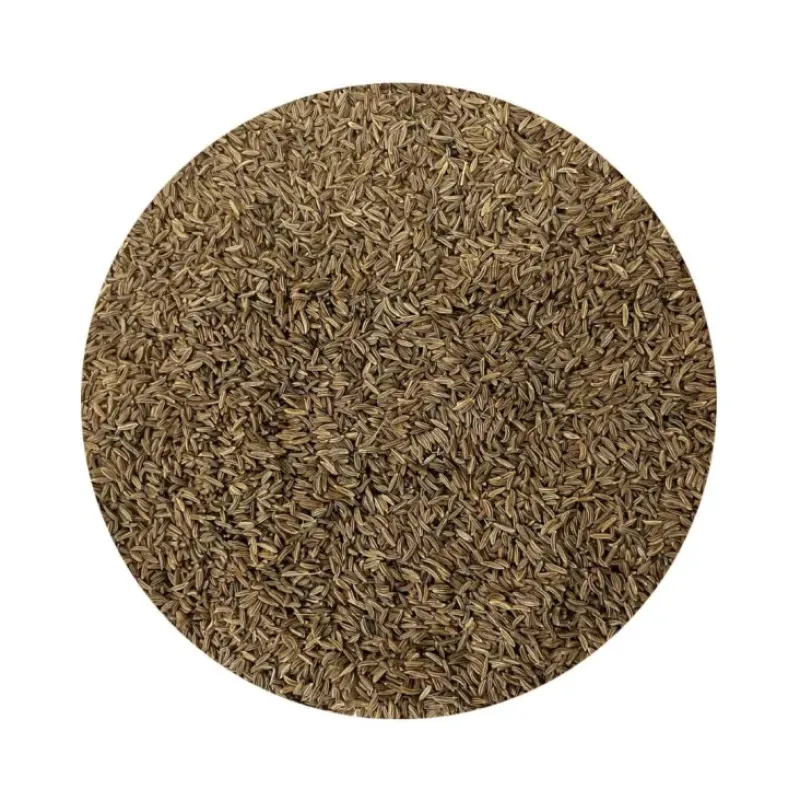 Naturaplaza Karwijzaad Biologisch Clearance