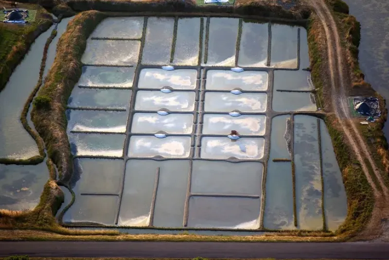 Naturaplaza Keltisch Zeezout Ultra Fijn Best