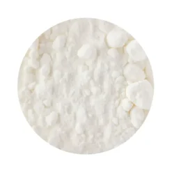 Naturaplaza Kokosnoot Melk Poeder Biologisch New