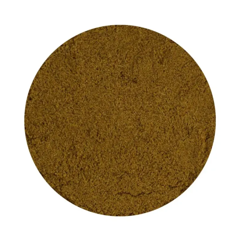 Naturaplaza Komijn Poeder Biologisch Sale