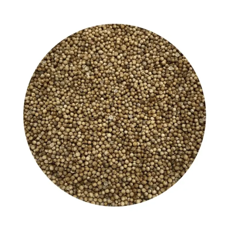 Naturaplaza Koriander Heel kiemarm Biologisch Online