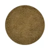 Naturaplaza Koriander Poeder Fijn kiemarm Biologisch Sale