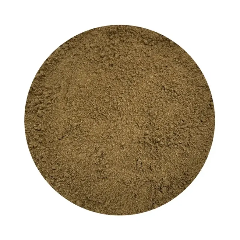 Naturaplaza Koriander Poeder Fijn kiemarm Biologisch Sale