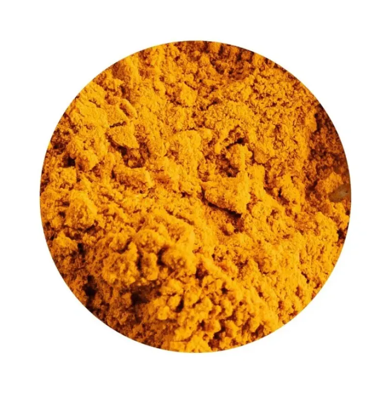 Naturaplaza Kurkuma Poeder Biologisch Online