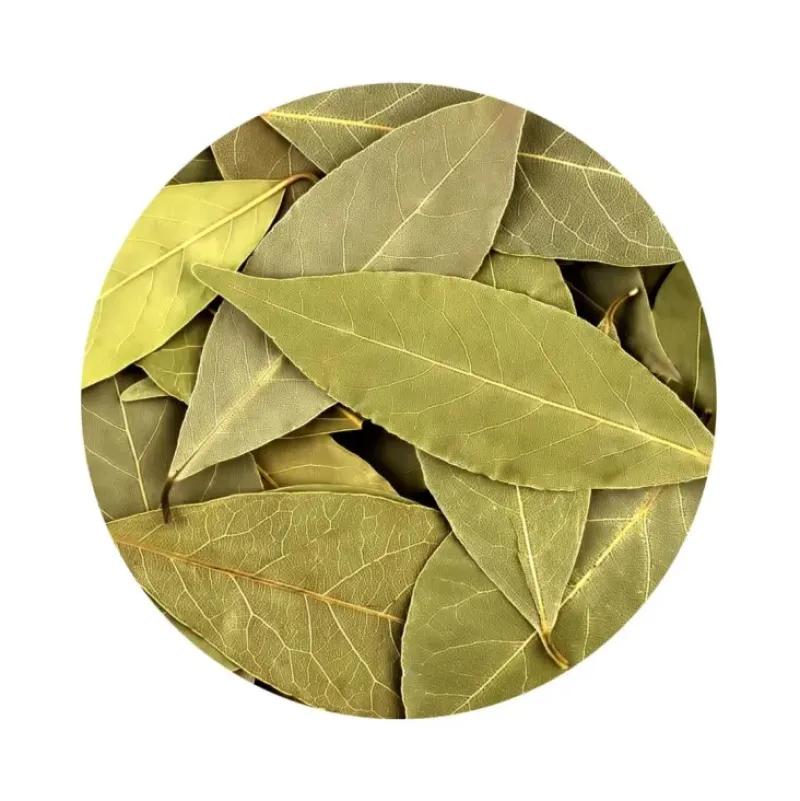 Naturaplaza Laurierblad Heel Biologisch Clearance