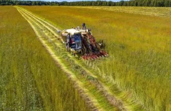 Naturaplaza Lijnzaad gemalen Biologisch Best