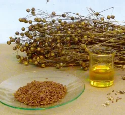 Naturaplaza Lijnzaadolie Koudgeperst Biologisch Clearance