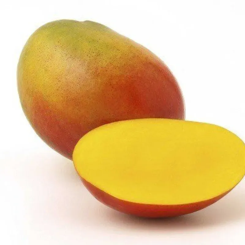 Naturaplaza Mango Granulaat 0-5 mm Biologisch Discount