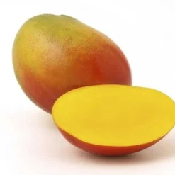 Naturaplaza Mango Slices Gedroogd Biologisch Clearance