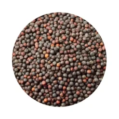 Naturaplaza Mosterdzaad Heel Bruin Sarepta Brassica Juncea Biologisch Discount