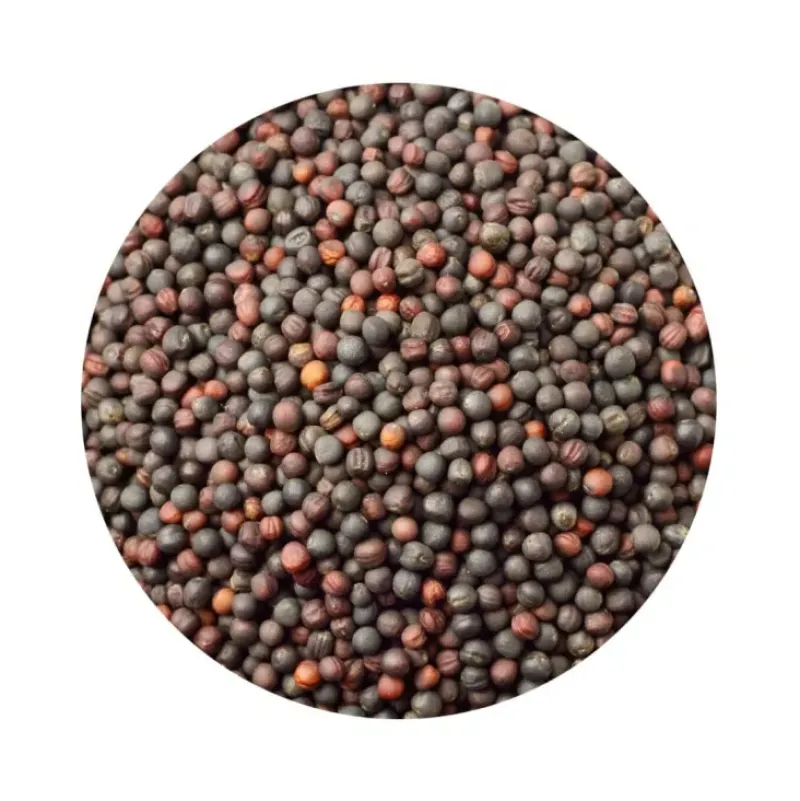 Naturaplaza Mosterdzaad Heel Bruin Sarepta Brassica Juncea Biologisch Discount