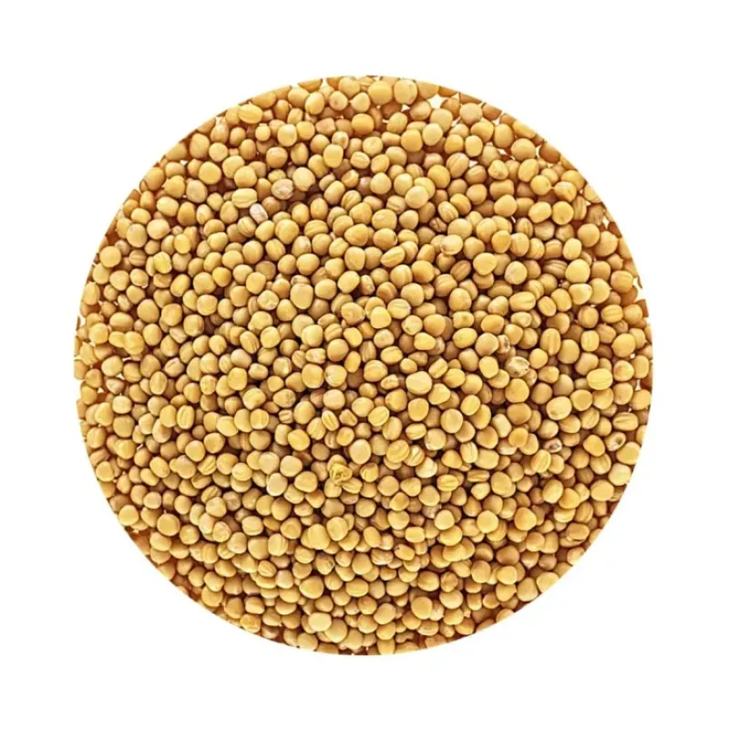 Naturaplaza Mosterdzaad Heel Geel erucazuur arm Biologisch Clearance