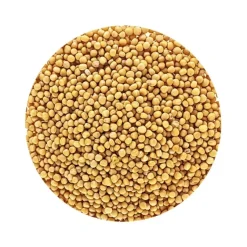 Naturaplaza Mosterdzaad Heel Geel Sinapis Alba kiemarm Biologisch Online