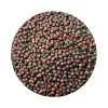 Naturaplaza Mosterdzaad Heel Zwart Brassica Nigra Biologisch Clearance