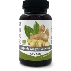 Naturaplaza Nutrikraft - Gember Capsules 500mg Biologisch Outlet
