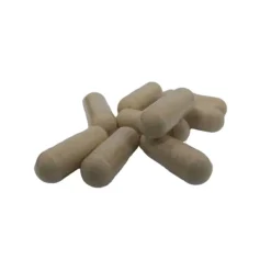 Naturaplaza Nutrikraft - Maitake Capsules Biologisch Hot