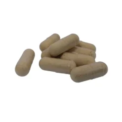 Naturaplaza Nutrikraft - Pruikzwam (Lion's Mane) Capsules Biologisch Outlet