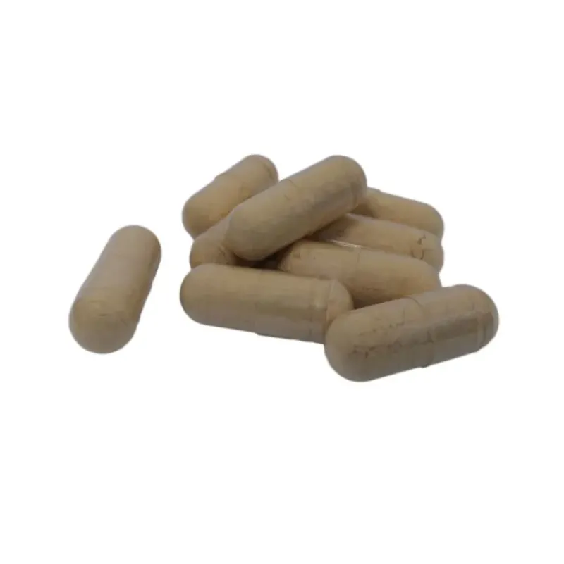 Naturaplaza Nutrikraft - Pruikzwam (Lion's Mane) Capsules Biologisch Outlet