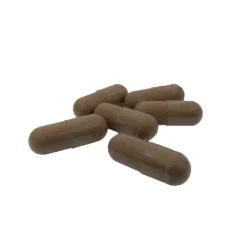 Naturaplaza Nutrikraft - Reishi Capsules Biologisch Sale