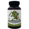 Naturaplaza Nutrikraft Ashwagandha Capsules 500mg Biologisch Hot
