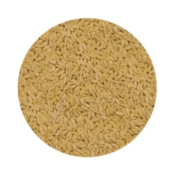 Naturaplaza Orzo (Risoni) Biologisch Best