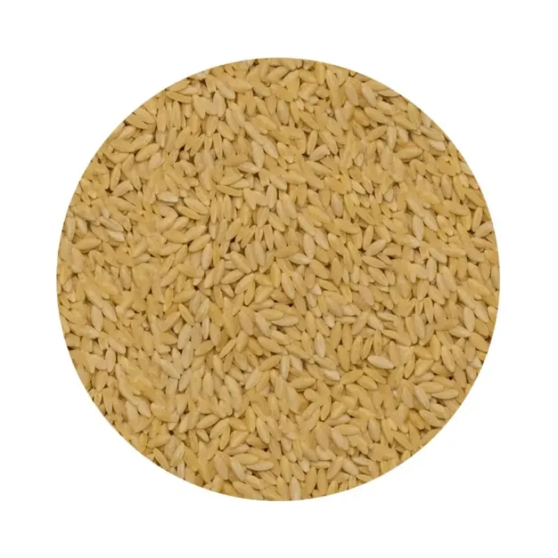 Naturaplaza Orzo (Risoni) Biologisch Best