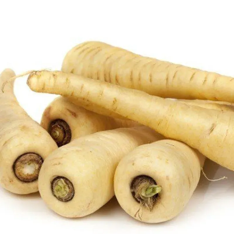 Naturaplaza Pastinaak Poeder Biologisch Sale