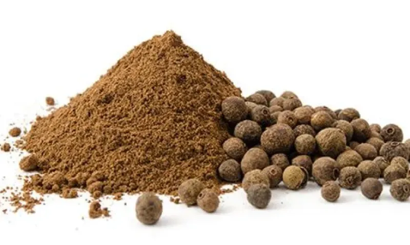Naturaplaza Piment (Allspice) Poeder Biologisch Discount