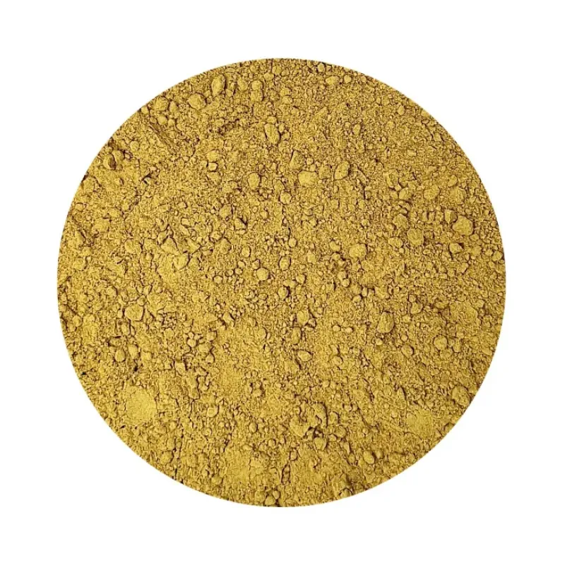 Naturaplaza Pompoenpitten Poeder Biologisch Hot