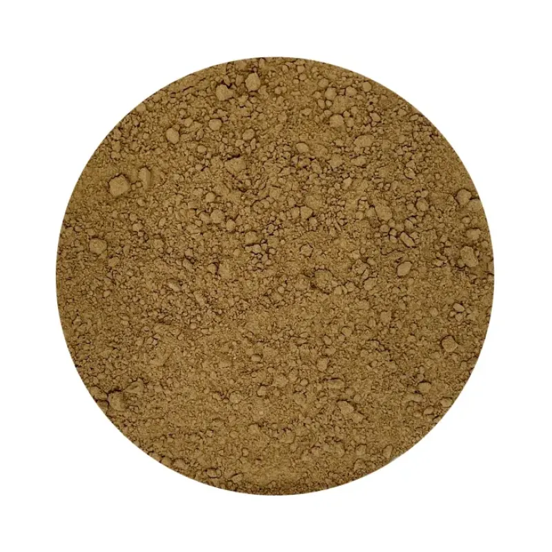 Naturaplaza Proteïne Poeder Banaan en Cacao Biologisch New
