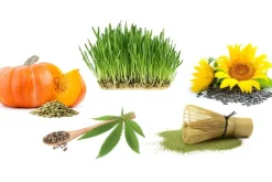 Naturaplaza Proteïne Poeder Matcha Biologisch Sale