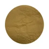 Naturaplaza Pruikzwam (Lion's Mane) Extract 30% Biologisch Online