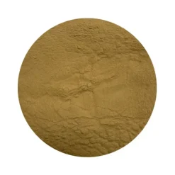 Naturaplaza Pruikzwam (Lion's Mane) Extract 30% Biologisch Online