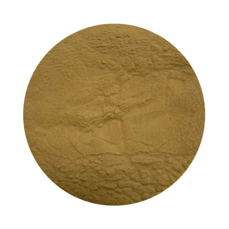 Naturaplaza Pruikzwam (Lion's Mane) Extract 30% Biologisch Online
