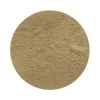Naturaplaza Pruikzwam Poeder Lionsmane Hericium Biologisch Outlet