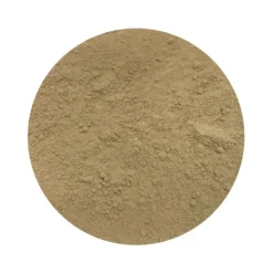 Naturaplaza Pruikzwam Poeder Lionsmane Hericium Biologisch Outlet