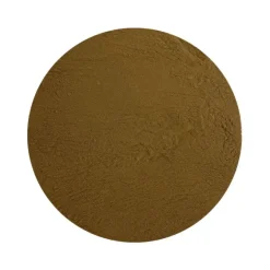 Naturaplaza Reishi Extract 30% Biologisch Online