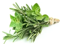 Naturaplaza RTO Kruidenmix kiemarm Biologisch New