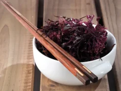 Naturaplaza Sea Moss Poeder Biologisch Best