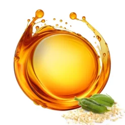 Naturaplaza Sesamolie Koudgeperst Biologisch Hot