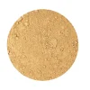 Naturaplaza Shiitake Poeder Biologisch Hot