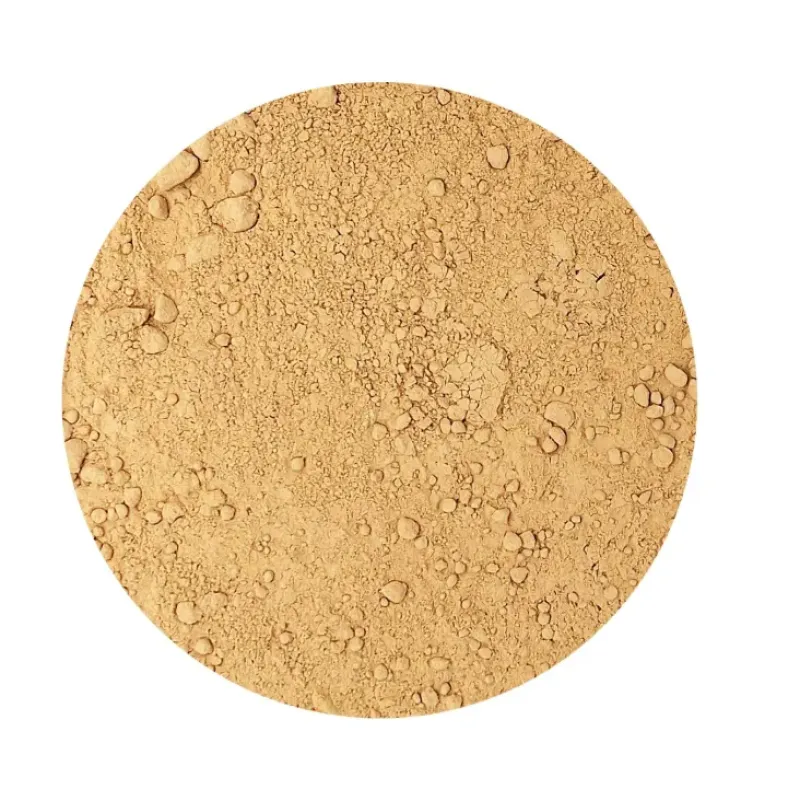 Naturaplaza Shiitake Poeder Biologisch Hot