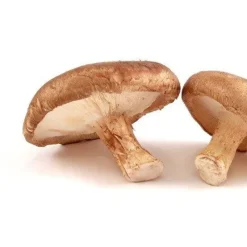 Naturaplaza Shiitake Poeder Biologisch Hot