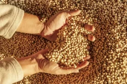 Naturaplaza Sojabonen Ongepeld Biologisch Discount