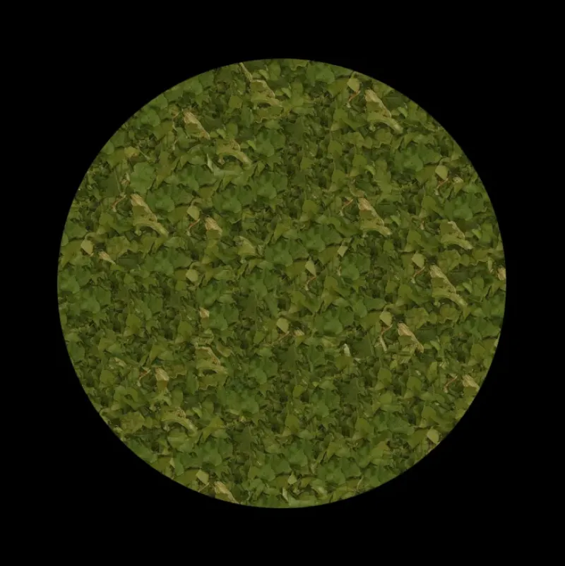 Naturaplaza Spinazie Vlokken 4-6 mm Biologisch Outlet